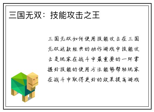 三国无双：技能攻击之王